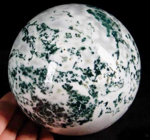 Tree Agate